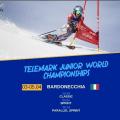 Fis telemark junior world champ